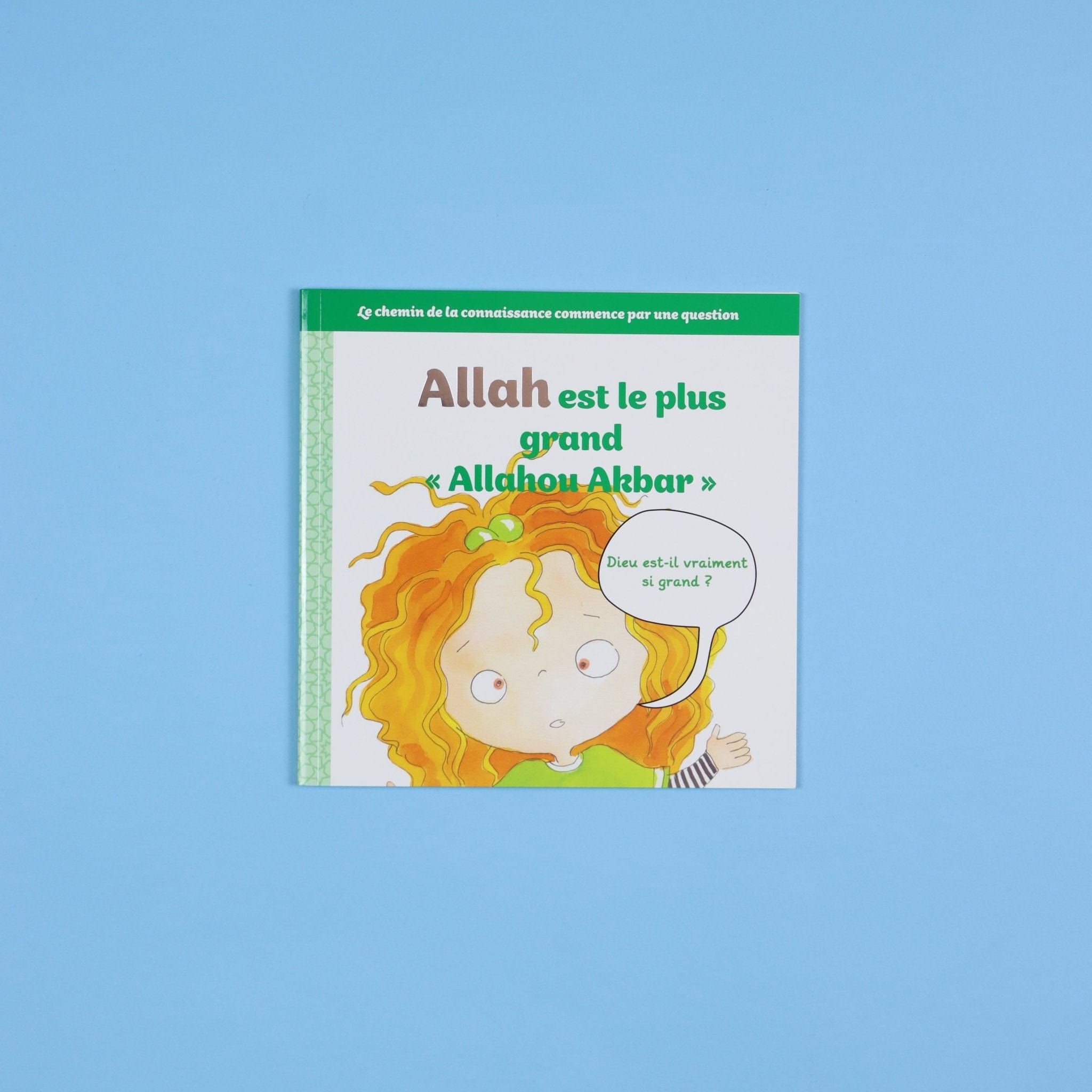 Apprendre qui est Allah (Le Tout Puissant) - 5 Histoires pour Petits Musulmans Digital Future Livre Islam Enfant 9782931043295 Librairie Musulmane Al-imen