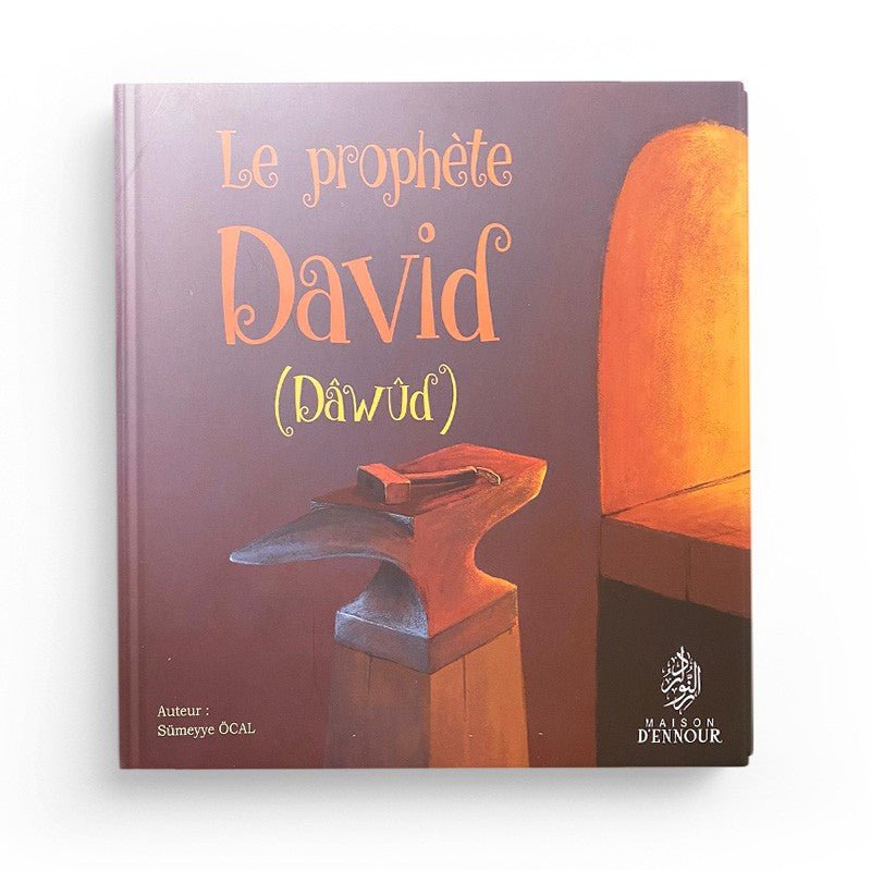 Pack : Histoires des Prophètes (10 livres) - Maison d'Ennour Al - imen